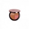 IDC COLOR Bronzing Touch Compact Powder