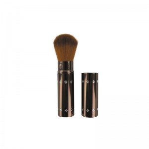 D-455 Galaxy Rectrable Brush