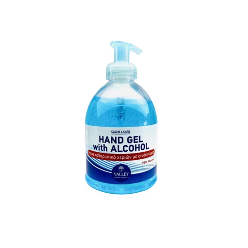 VALLEY Clean & Care Hand Gel with Alcohol 300ml