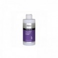 DALON Hairmony Silver Shampoo SLS Free 300ml