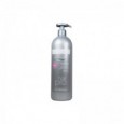 BYPHASSE Professional Shampoo Liss Extreme για Λεία Μαλλιά 1000ml