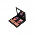 RADIANT Pallete Special Edition Total Look Sugar & Spice Collection
