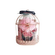 GLAMOROUS Rose Gold Cage Gift Set Cranberry  4τμχ