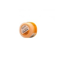 5906439030081QUIZ Vaseline Therapy Lip Balm 10ml Tropical Juice_beautyfree.gr
