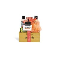 IDC INSTITUTE Organic Woodeb Gift Set 5 pcs