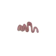 5207440007919BEAUTY SALON Κλάμερ Glitter Μεγάλο (code:7919)_beautyfree.gr