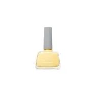 SEVENTEEN Studio Dry Lasting Color