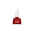 SEVENTEEN Studio Dry Lasting Color