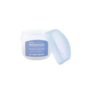 8436616353421IDC INSTITUTE VASELINE LIP CARE (44093)_beautyfree.gr