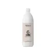 80220331111043DELUXE Creme Developer 20 Volume 6% 1000ml_beautyfree.gr