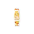 8008970055121VIDAL Αφρόλουτρο Exotic Dream Bali 500ml_beautyfree.gr