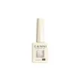 CANNI Galaxy Sparkle Cat Eye Collection Hema Free 9ml CANNI Galaxy Sparkle Cat Eye Collection Hema Free 9ml