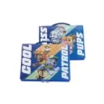 PAW PATROL Ολοκληρωμένο Σετ Ζωγραφικής PAW PATROL Ολοκληρωμένο Σετ Ζωγραφικής