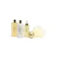 IDC INSTITUTE (42262) Scented Bath Gold Basket Gift Set