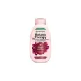 3600542656511GARNIER Botanic Therapy Grape Moisture Shampoo 400ml_beautyfree.gr