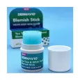Derma V10 Blemish Stick Tea Tree & Witch Hazel για Σπυράκια, Ατέλειες της Επιδερμίδας, Μείωση Ερεθισμών & της Λιπαρότητας