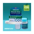 Derma V10 Blemish Stick Tea Tree & Witch Hazel για Σπυράκια, Ατέλειες της Επιδερμίδας, Μείωση Ερεθισμών & της Λιπαρότητας