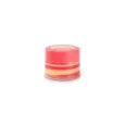 THE FRUIT COMPANY Night Lip Mask with Vitamin C-Tropical (19902-1)