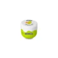 8436559713283THE FRUIT COMPANY Silk Effect Body Cream -Melon 200ml (13283)_beautyfree.gr